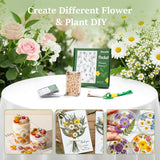 Aboofx Mini Flower Press Kit, Pocket Flower Press Kit for Pressing Plants, Leaves, Herbs, Micro Flowers Pressing Outdoor for The Beginners, Arts Craft Lovers, Classroom, Traveling, 2.5 x 4 Inch Aboofx