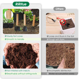 RiRifue Bonsai Tree Seed Starter Kit, with 4 Pcs Mini Garden Bonsai Tool Kit, 5 Tree Seeds Variety Pack for Planting, Creative Gardening Gifts for Plant Lovers Women Men Kid RiRifue