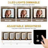 MDGC 3 in 1 Vanity Desk with Mirror and Lights, Farmhouse Dressing Table with Charging Station, Compact Makeup Vanity Table with 3 Drawers, Adjustable Shelves & Hidden Storage Stool (Rustic Brown) MDGC