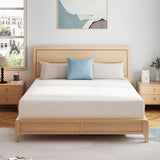 SynthoSpace Queen Mattress 8 Inch Green Tea Memory Foam Mattress, Fiberglass Free & Medium Firm, CertiPUR-US Certified Foam for Cool Sleep & Pressure Relief, Bed in a Box, 60"×80"×8" SynthoSpace