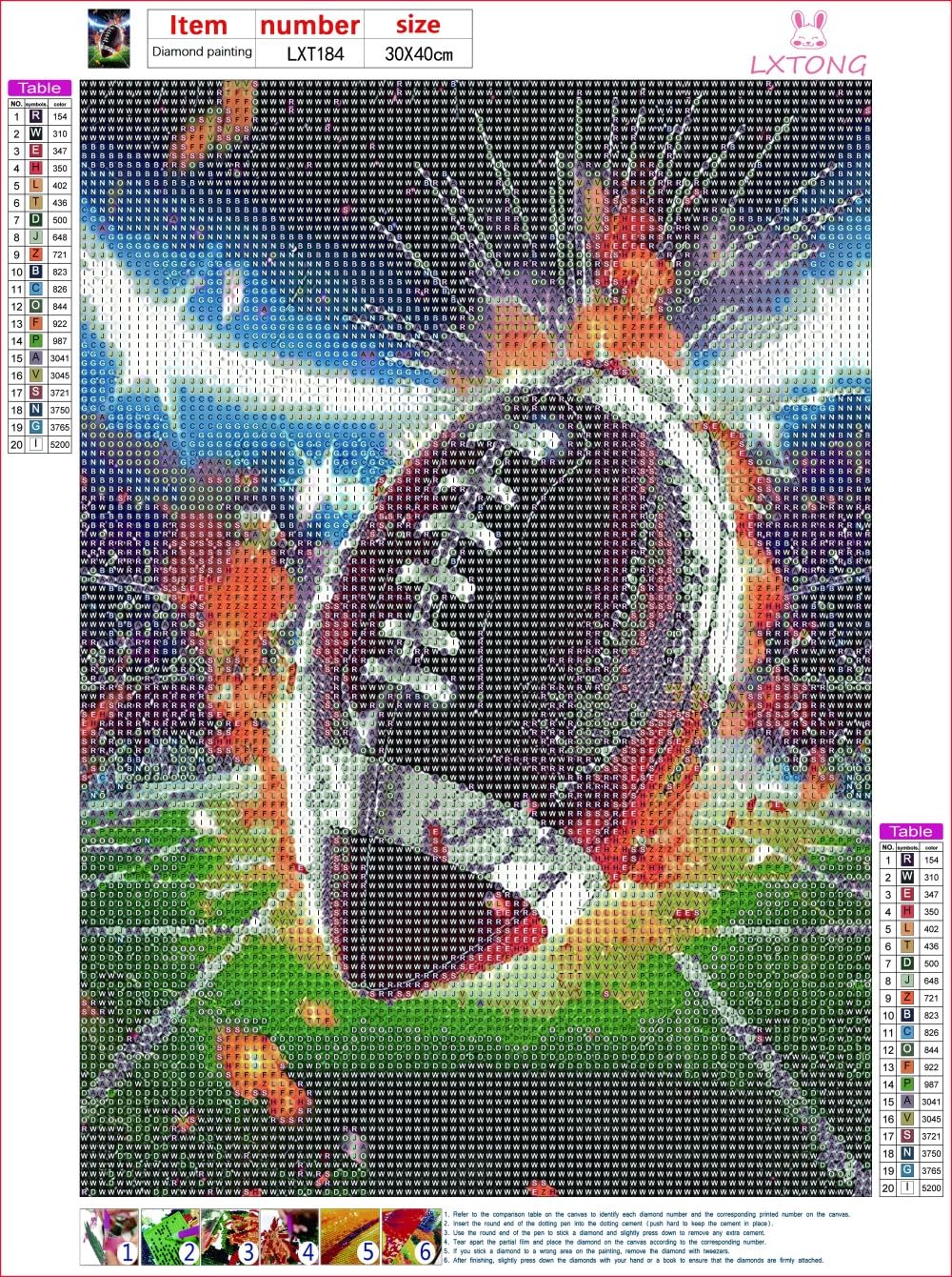 LXTONG Rugby Football 5D Diamond Art Painting Kits, Flame Rugby Diamond Painting Set, Rugby Game Diamond Painting for Beginners Arts and Crafts Wall Decor (12X16 Inches) LXTONG
