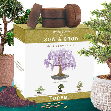 Nature's Blossom Bonsai Tree Kit - Unique Gifts for Indoor & Outdoor Gardening Enthusiasts - Includes Tools, 4 Types of Plant Seeds, Pots and Growing Guide - Secret Santa Gifts Nature's Blossom