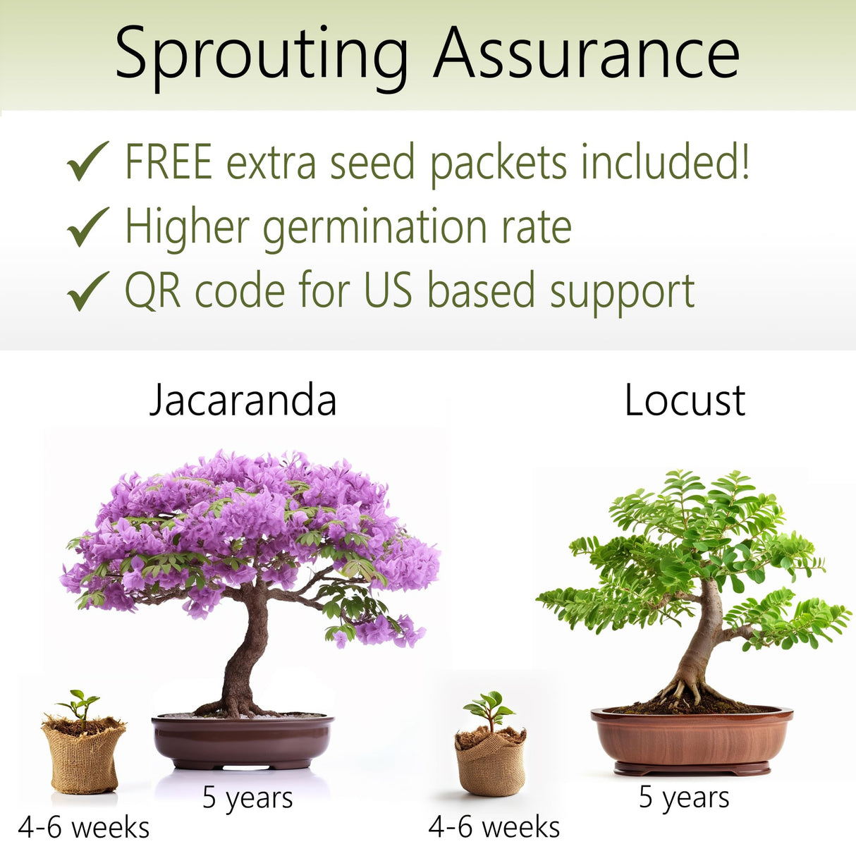 Bonsai Starter Kit – 2X Bonsai Tree | Complete Indoor Starter Kit for Growing Bonsai Plants with Tools & Planters – Gardening Gifts for Women & Men AVERGO