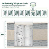 ZINUS 10 Inch Comfort Support Hybrid Mattress [New Version], Twin, Fiberglass Free, Medium Plush, Motion Isolation, Certified Safe Foams & Fabric, Mattress in A Box Zinus