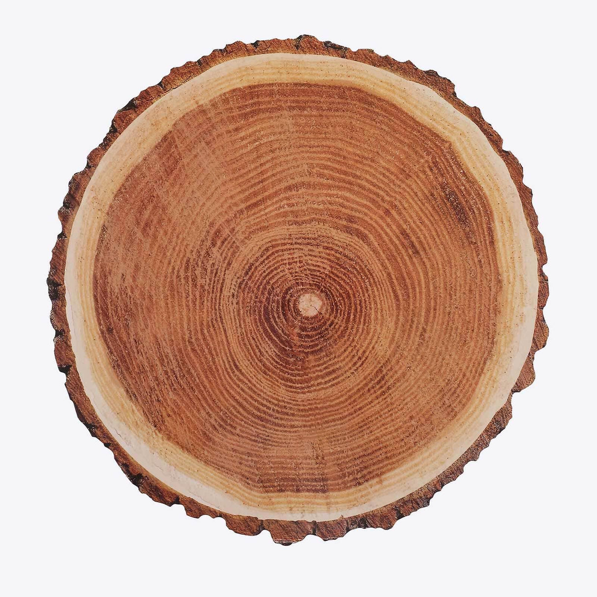 Efavormart 6 Pack | 13" Rustic Natural Wood Slice Design Disposable Serving Trays, Round Farmhouse Paper Charger Plates Efavormart.com