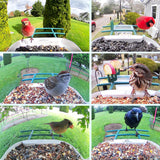 WOSPORTS Bird Feeder with Camera Solar Powered,Wireless Smart Bird Watching Camera,AI Identify 10000+ Bird Species,1080P HD Camera Auto Capture Videos,Instant Notifications,Ideal Gift for Bird Lover WOSPORTS