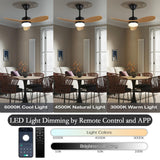 Finktonglan 36" Ceiling Fans with Lights and Remote Control, Black Farmhouse Ceiling Fan for Indoor and Outdoor, DC Motor Ceiling Fans with Two Rods for Patio, Living Room, Dining Room Finktonglan