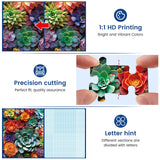 1000 Piece Puzzle for Adults - Colourful Flowers & Succulent Plants Puzzle for Adults Children - Recycled Paper Jigsaw Puzzle 1000 Pieces - Fun and Challenging Family Game Great Gift Idea, 28 * 20 in Edsjegn