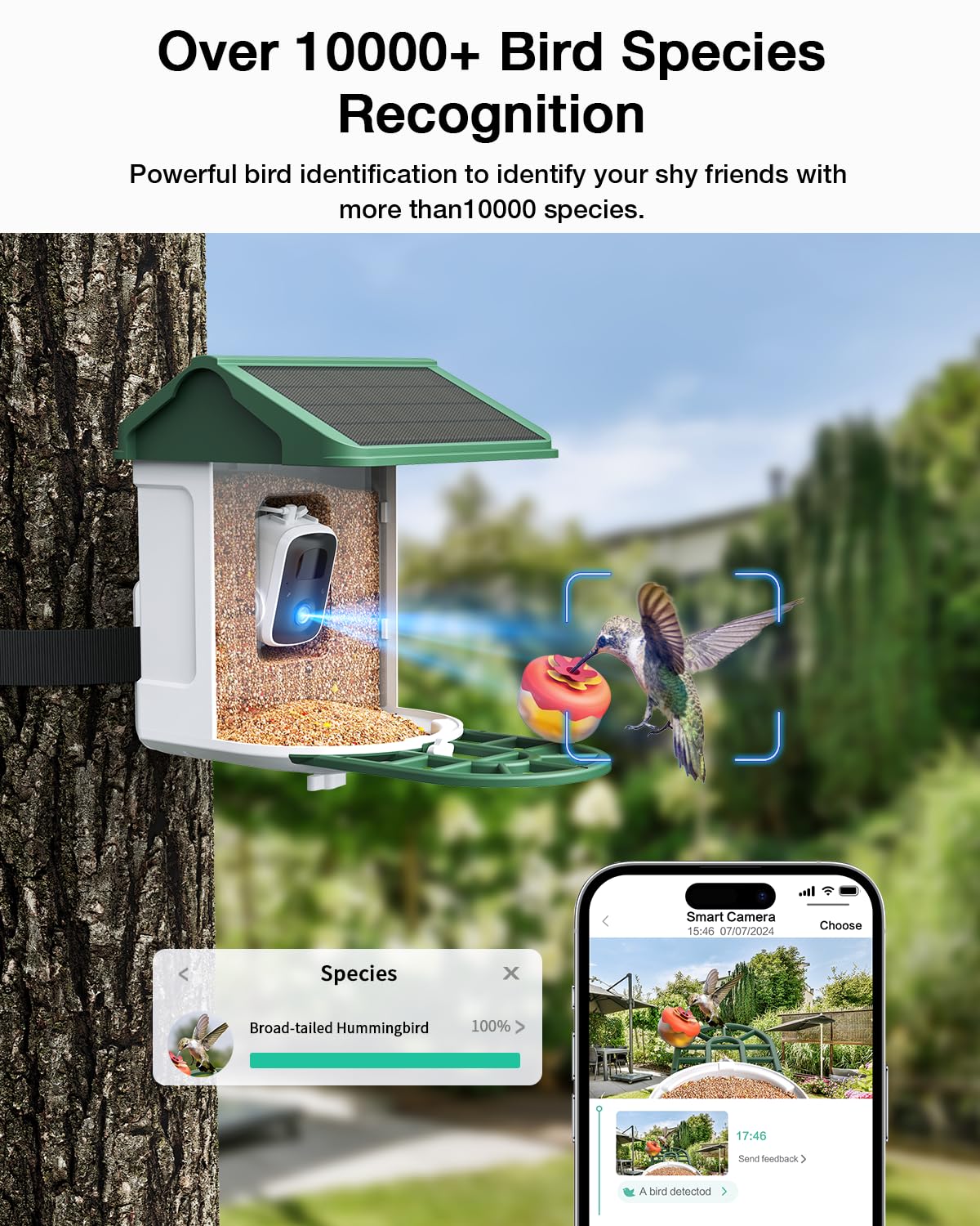 HARYMOR Bird Feeder with Camera Supports AI Identify Bird Species, 2K Live Video, Bird Arrival Alert, Solar Powered, Bird House Camera Wireless Outdoor with Mini Hummingbird Feeder for Watching Birds HARYMOR