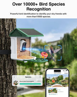HARYMOR Bird Feeder with Camera Supports AI Identify Bird Species, 2K Live Video, Bird Arrival Alert, Solar Powered, Bird House Camera Wireless Outdoor with Mini Hummingbird Feeder for Watching Birds HARYMOR
