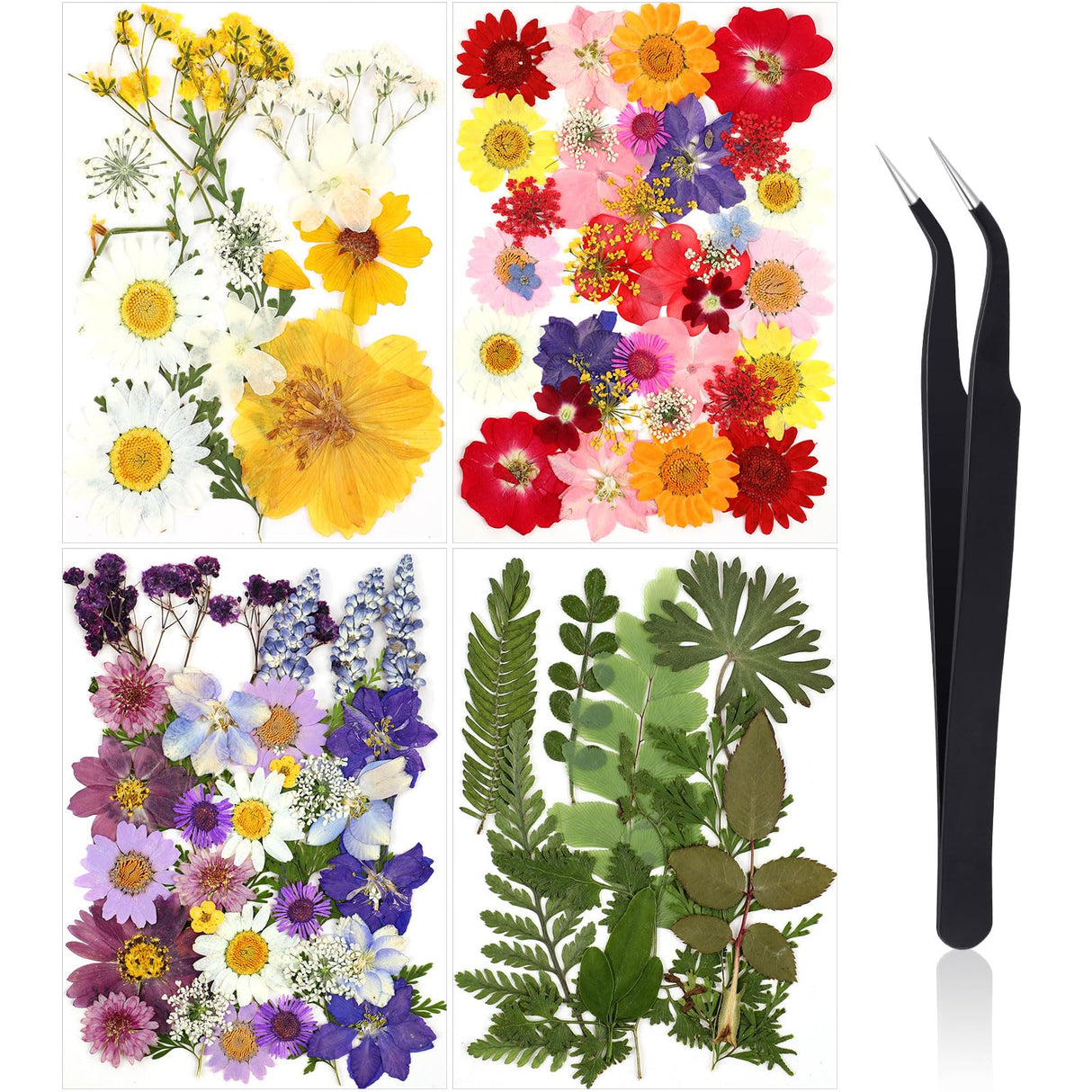 Nuanchu Pressed Flowers Bulk Dried Flower for Crafts, Dried Flower Leave Natural with Tweezer for Resin Mold Scrapbooking DIY (Classic Style) Nuanchu