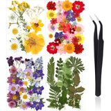 Nuanchu Pressed Flowers Bulk Dried Flower for Crafts, Dried Flower Leave Natural with Tweezer for Resin Mold Scrapbooking DIY (Classic Style) Nuanchu