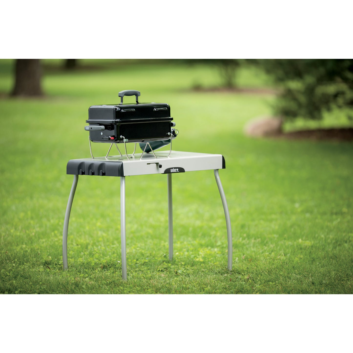 Weber Go-Anywhere Gas Grill, One Size, Black