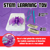 Dissect-It Simulated Synthetic Lab Dissection Toy, STEM Projects for Kids, Animal Science, Biology, and Anatomy Home Learning Kit, Bat Dissect It