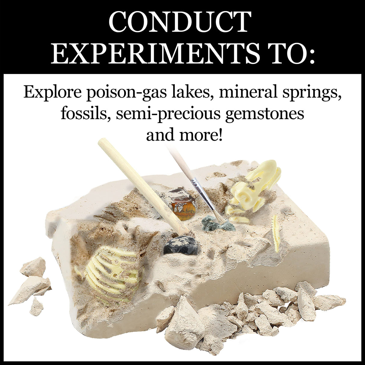 Wonders of The Earth WILD ENVIRONMENTAL SCIENCE