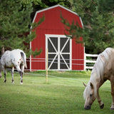 Handy Home Products Hudson 12x24 Do-it-Yourself Wooden Storage Shed Brown Handy Home Products