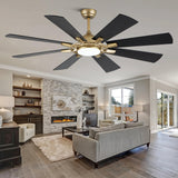 Curve Curio 60 Inch Ceiling Fans with Lights, Black and Gold Modern Ceiling Fan with Remote Control for Living Room Kitchen, 3 CCT, 6 Speed Reversible DC Motor Curve Curio