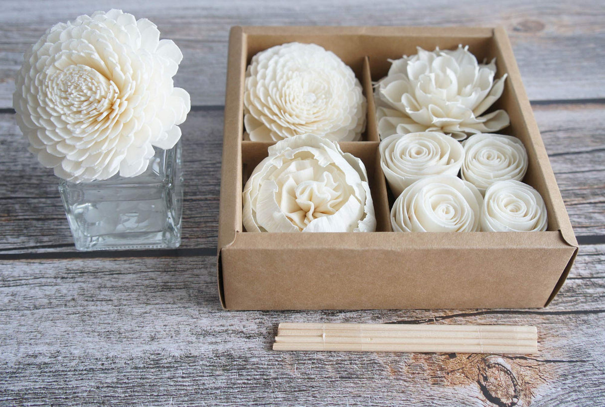 Mixed White Sola Flower with Cotton Wick Diffuser Set Replacement for Home Fragrance by Plawanature plawanature