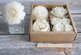 Mixed White Sola Flower with Cotton Wick Diffuser Set Replacement for Home Fragrance by Plawanature plawanature