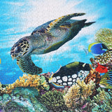 BEDUKE Jigsaw Puzzles for Adults 1000 Pieces Ocean Animals Thick Sturdy Cardboard Precise Interlocking 1000 Piece Puzzle Age 14+ Family Game BEDUKE