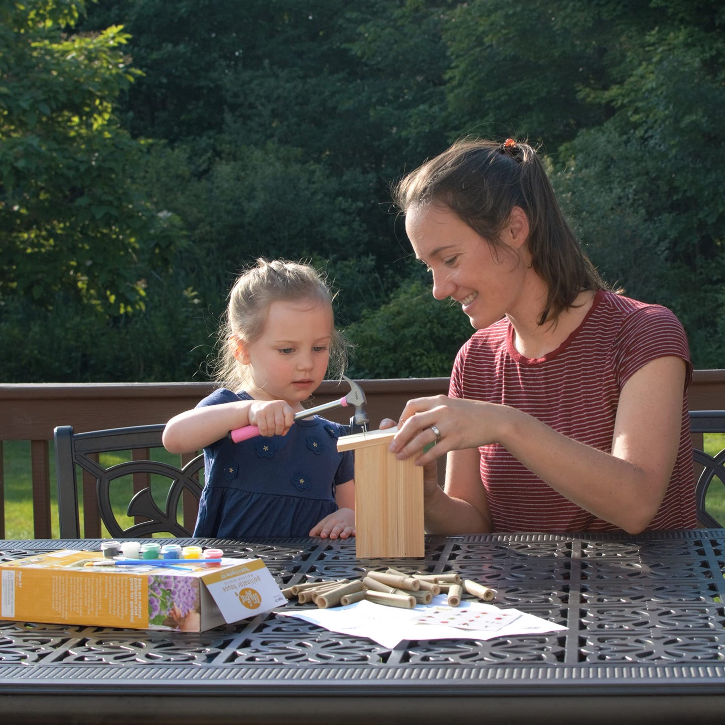 Nature's Way Bird Products DIY-BEE My First pollinator Garden House, Wood