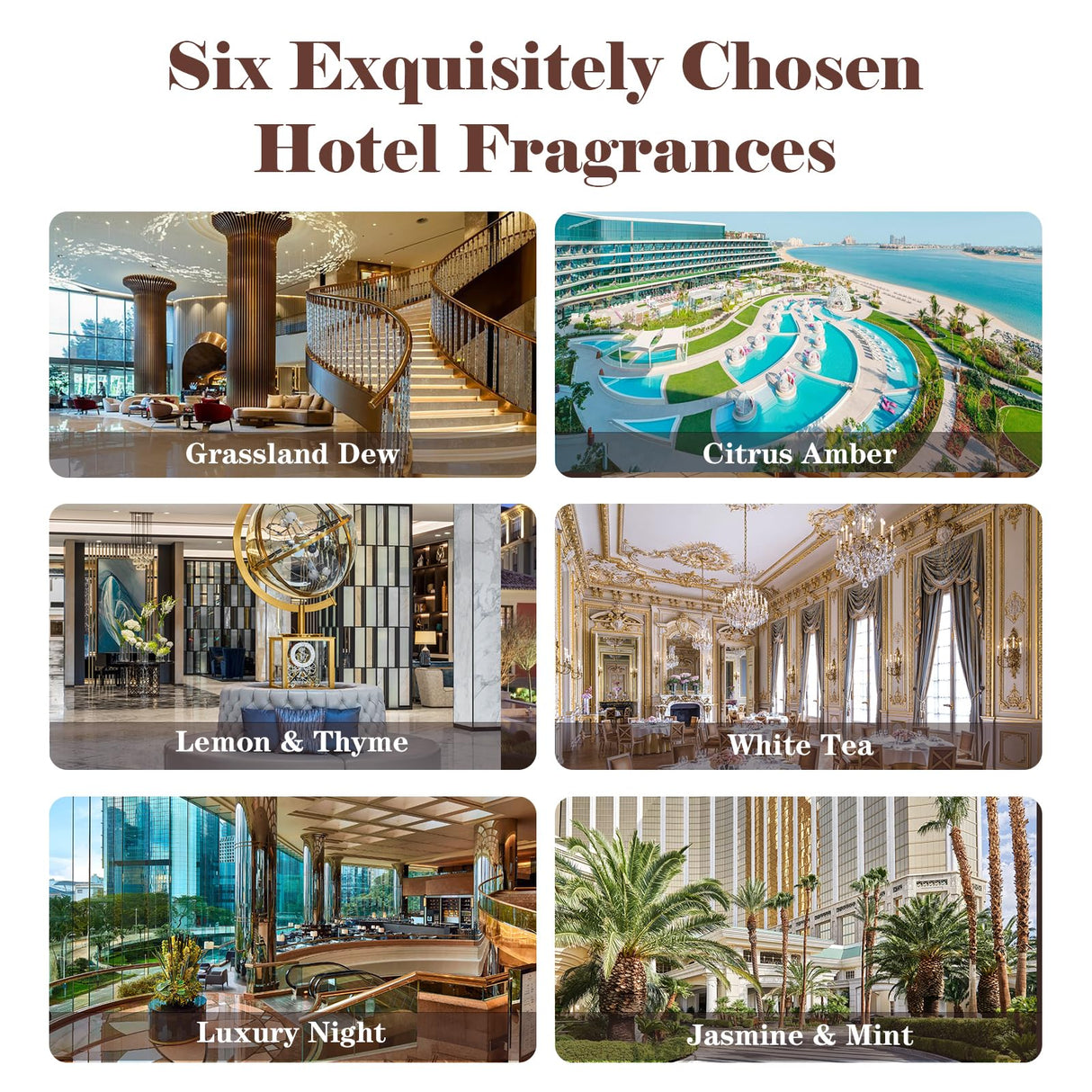 AmaKane Hotel Diffuser Oils, Hotel Scent Essential Oil, Fragrance Oil for Candle Making, Soap Scents for Making Soap, Aromatherapy Oils 6x10ml, Luxury Night, White Tea& Thyme, Jasmine& Sandal, More AmaKane