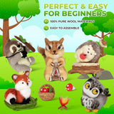 MOREJMTT Needle Felting Kit, 5 PCS Farm Animal Needle Felting Beginner Kits, Wool Felt Needle Felting Tools Foam Pad, Craft Party Supplies for Beginners Adult(Forest Animals) MOREJMTT