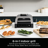 Ninja DG551 Foodi Smart XL 6-in-1 Indoor Grill with Air Fry, Roast, Bake, Broil, & Dehydrate, Foodi Smart Thermometer, 2nd Generation, Black/Silver Ninja
