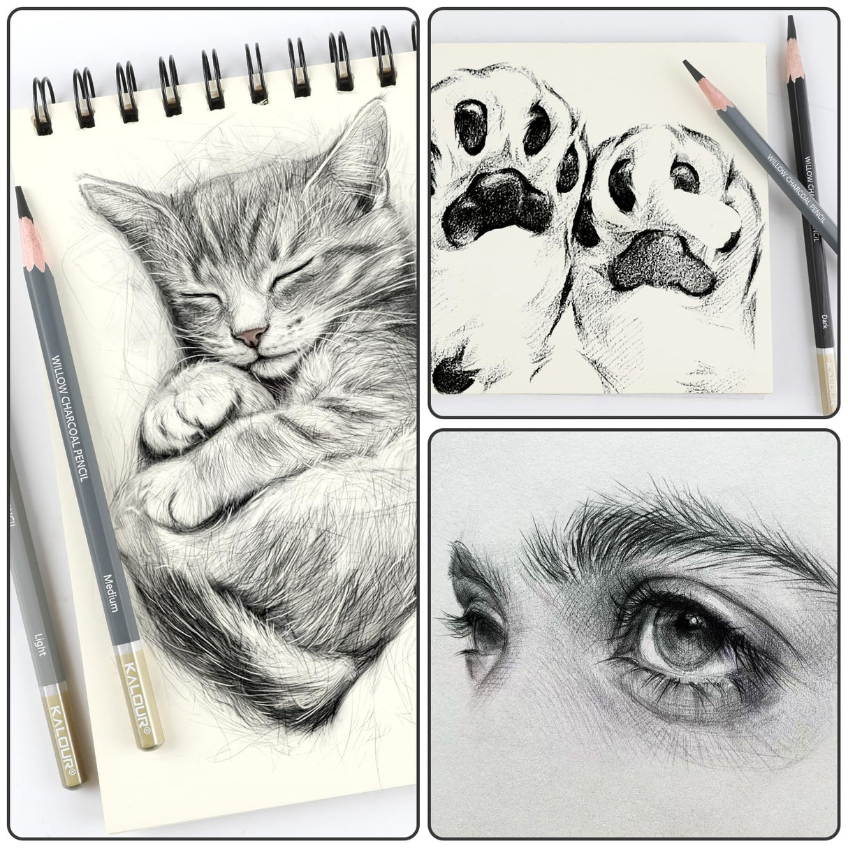 KALOUR PDAS Professional Willow Charcoal Pencil Set - 6 Premium Pencils (Light to Dark Shades) for Drawing, Sketching & Shading, Artist-Grade Tools for Beginners & Professionals KALOUR PDAS