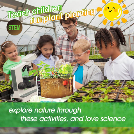 Root Viewer Kit for Kids - Grow Your Own Kids Garden for Boys & Girls - Science STEM Toy & Craft Growing Kits for Ages 6 7 8 9 10 Birthday Easter Gifts for Boy & Girls - Kid Gardening Set Geynaw