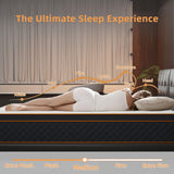 Qabefy Queen Mattress, 10 Inch Memory Foam Hybrid Mattress in a Box, Medium Firm and Individually Pocket Springs - Pressure Relief, CertiPUR-US Certified, Motion Isolation Qabefy