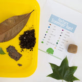 Elementree Sustainable Printer Paper Case, 8.5 x 11 White, 5 Reams, 2500 Sheets of 20lb Printing Paper, Made in the USA (00918C) Elementree