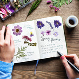 Nuanchu 167 Pcs Real Dried Pressed Flowers Natural Dried Flowers Colorful Dry Daisy Flowers Mixed Dried Flowers for DIY Candle Resin Nails Jewelry Pendant Crafts Floral Art (Purple) Nuanchu