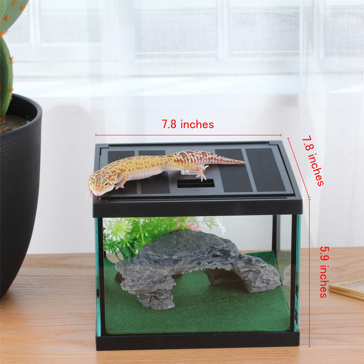 crapelles Glass Tank Spider Box Kit for Tarantula Feeder Insects Beetle Amphibians Terrarium Small pet,Washable mat,Resin Rock Shape Hideout, Artificial Flower crapelles