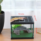 crapelles Glass Tank Spider Box Kit for Tarantula Feeder Insects Beetle Amphibians Terrarium Small pet,Washable mat,Resin Rock Shape Hideout, Artificial Flower crapelles