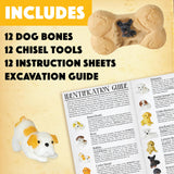 MindWare Dig it Up! Puppies Excavation Kit - Educational Toys for Kids 4 and Up - Dig Kit with 12 Bones, 12 Puppy Figurines, 12 Chisels - Ideal for Group Activities, Events or Classroom Brain Breaks MindWare