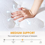 SogesSleep Twin Mattress, 12 Inch Hybrid Mattress in a Box, Individual Pocket Spring Bed Mattress, Medium Firm Mattress for Pressure Relief, Strong Edge Support, CertiPUR-US & Fiberglass Free SogesSleep