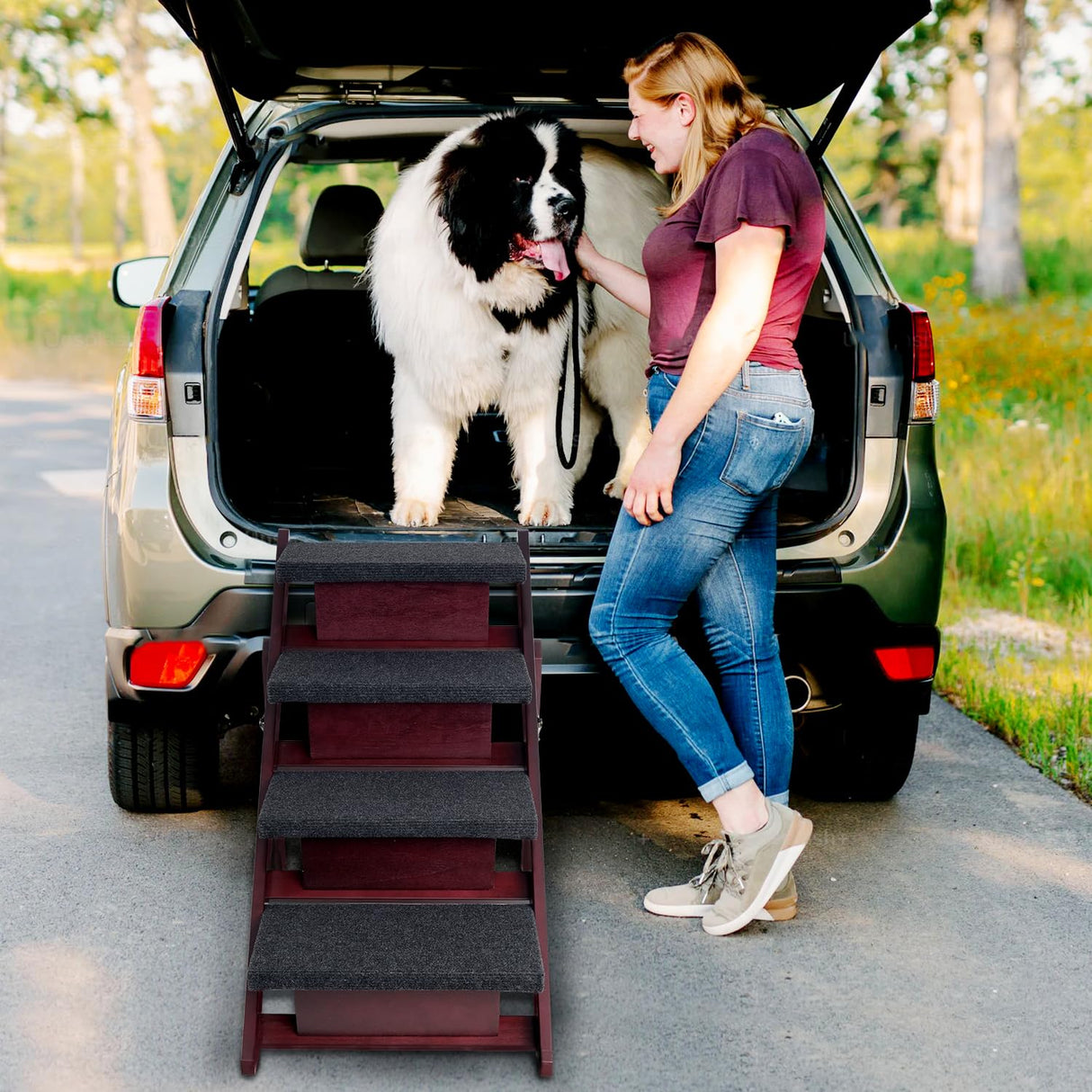BRIKY Wooden Dog Stairs/Steps - Foldable 4 Steps Dog Steps for High Bed Couch Cars, Non-Slip Pet Stairs for Small Large Medium Dogs and Cats, No Assembly Required BRIKY