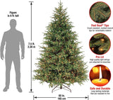 National Tree Company Pre-Lit 'Feel Real' Artificial Full Christmas Tree, Green, Frasier Grande, White Lights, Includes Stand, 7.5 Feet National Tree Company