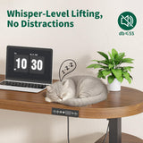 Xyulmeo Mid Century Modern Electric Standing Desk with Storage, 55 x 22 Inch Small Sit Stand Up Desk, Wood Adjustable Height Computer Executive Desk for Home Office, Laptop, Walnut Xyulmeo