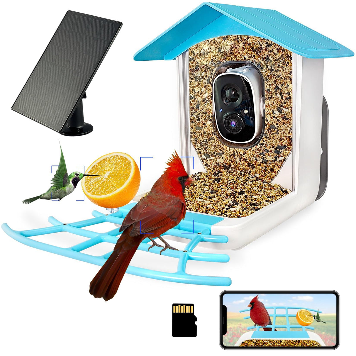 64GB Bird Feeder with Camera, 2K 3MP HD Camera Bird Feeder, AI Identify +10,000 Bird Species, Solar Powered Face Sun, Live Video & Playback on Phone & Tablet, Smart Wild Bird Watching Gifts Kadymay