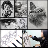 Heshengping 31 Pack Drawing Pencils Sketch Pencil Art Supplies Set for Adults Beginners Artists Pro Sketching Art Graphite Charcoal Blending Stump Pencils kit Heshengping