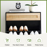 coucheta 2 Flip Drawers Shoe Storage Cabinet with 1 Drawer, Rattan Shoe Organizer with Metal Legs, Freestanding Narrow Shoe Rack Cabinet for Entryway, Black coucheta