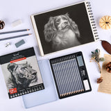 Brusarth Professional Sketch Pencils for Drawing Set - Graphite Pencils (4H-10B), Graphite Sticks, Erasers and Sharpener, Art Pencils for Sketching- Ideal for Artists and Beginners,17Pcs Brusarth