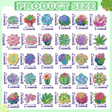 Remuuly 30 Pcs Diamond Painting Magnets Summer Diamond Art Magnet Kits for Adults Spring Flower Animal Cupcake 5D Rhinestones Refrigerator Magnetic Stickers for Fridge DIY Crafts Gifts(Succulents) Remuuly