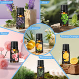 Dewiitine DIY Soap Making Kit, Soap Kit with Soap Mold Melt and Pour Soap Base Fragrances Dried Flowers Glitter Soap Colorant DIY Craft Kit for Adults Beginners Dewiitine