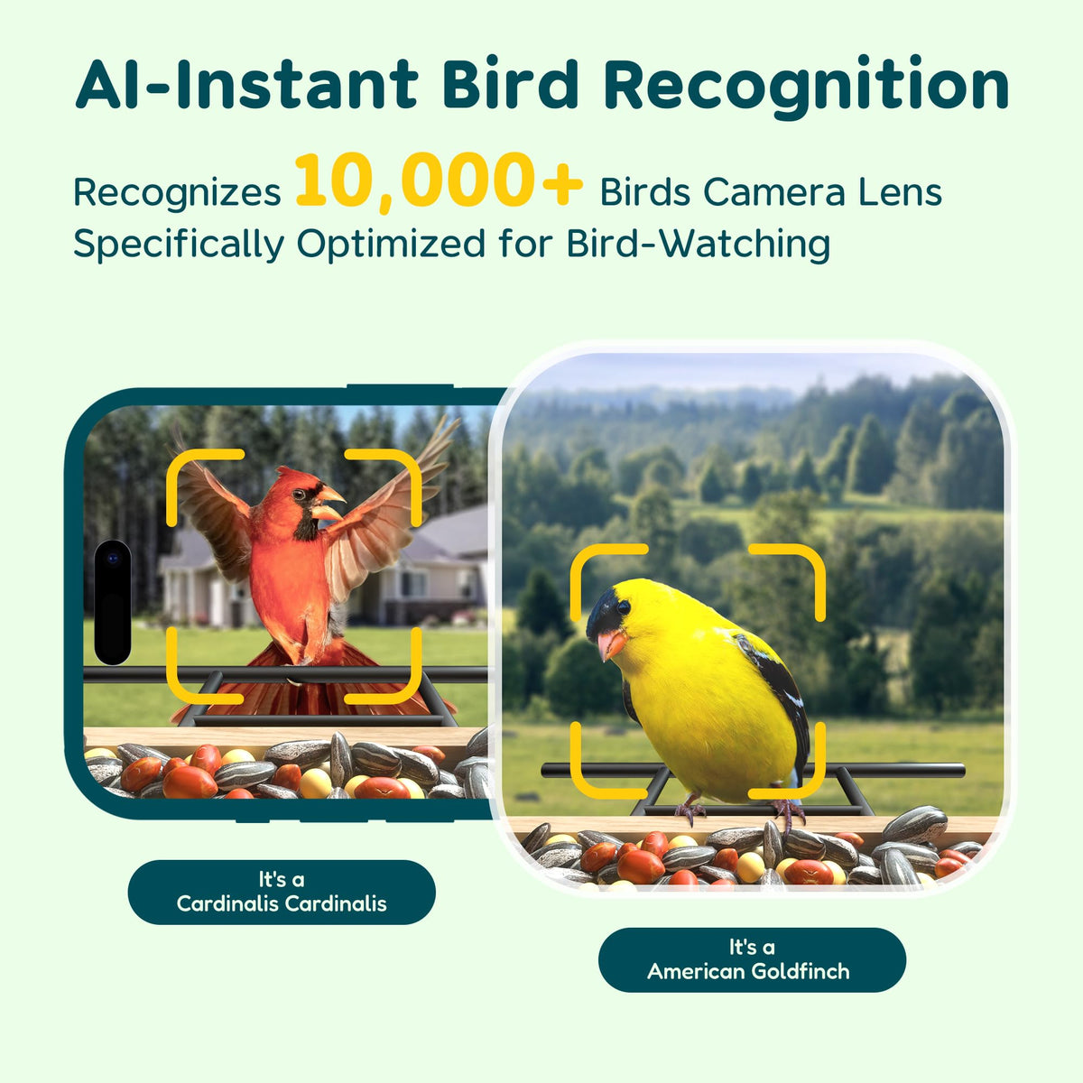 TT Nature Bird Feeder with Camera Solar Powered, Upgraded 1.5L Smart Bird Feeder Camera for Bird Watching, Auto Capture & Instant Real-time Notifications, Ideal Gift for Bird Lovers TT Nature