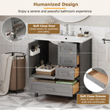 Mirightone 30" Bathroom Vanity with Sink, Bathroom Vanities 30 Inch with Sink, 30" Vanity with Sink for Bathroom, Soft Close Door, 3 Soft Close Drawers and Removable Tray (Grey) Mirightone