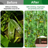 65"×50" Cucumber Trellis for Raised Bed,Tall Metal Arch Garden Trellis for Climbing Plants Outdoor,Vegetables,Plant Support Peas,Fruit,Flower,Grape,Tomato, Bean CFKEMZY