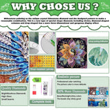 Mandala Special Shape Diamond Painting Kits- Flower Crystal Art Diamond Art Kits for Adults, 5D Rhinestone Painting for Gift Home Wall Decor(12x12inch) GOUGOUFAFA